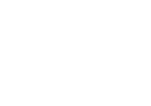 360 Vue Logo White 1